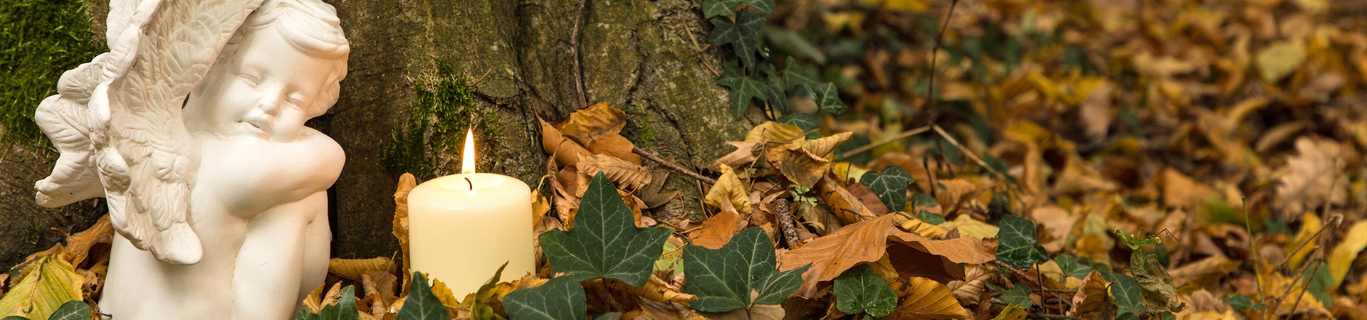 Service - ZINTL Bestattungen